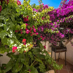 Pinos 2 Apartment Nerja